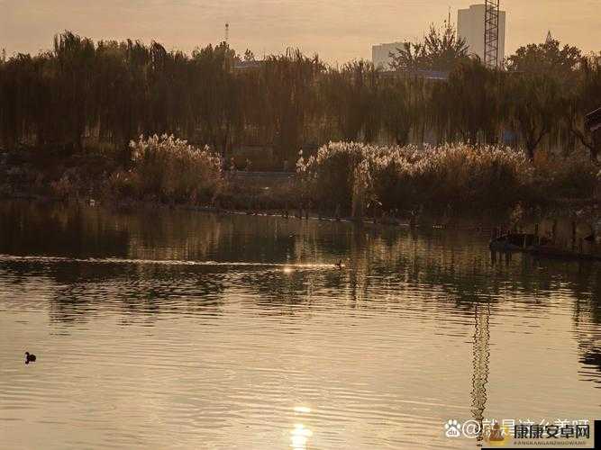 老孙头的春天一目尽是沧桑但他依旧心怀希望努力生活着